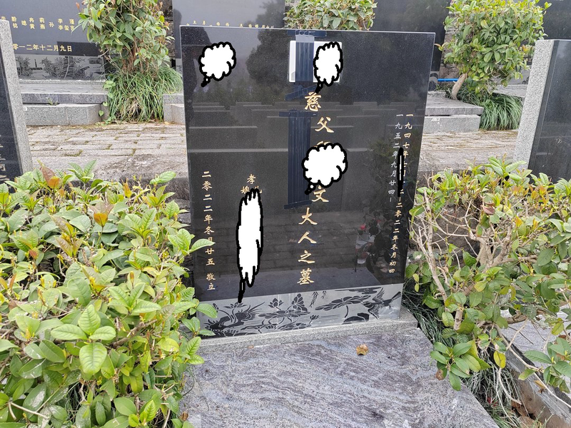 thumb_IMG_20230219_104246