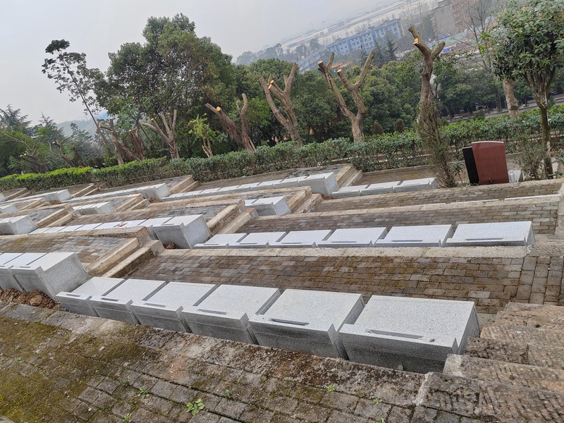 thumb_IMG_20230302_133553